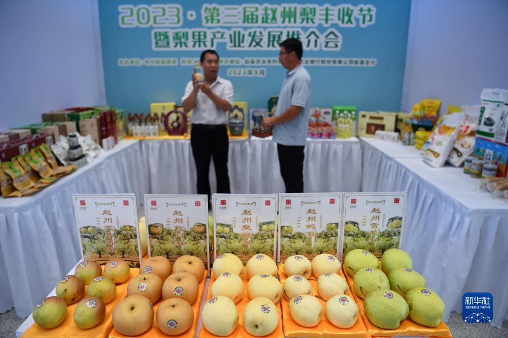 源鼎app下载安卓